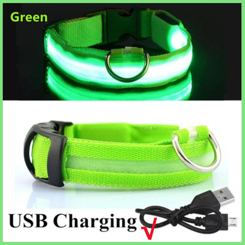 LED Rechargeable Dog Collar