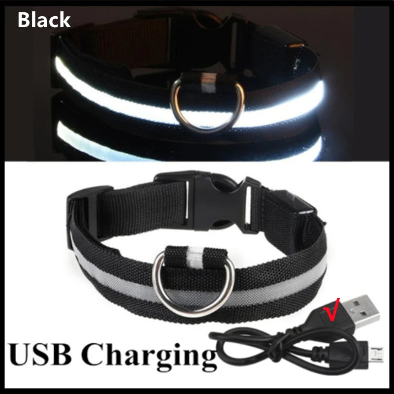 LED Rechargeable Dog Collar