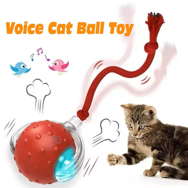 Automatic Rolling Cat Toy Ball - Rechargeable