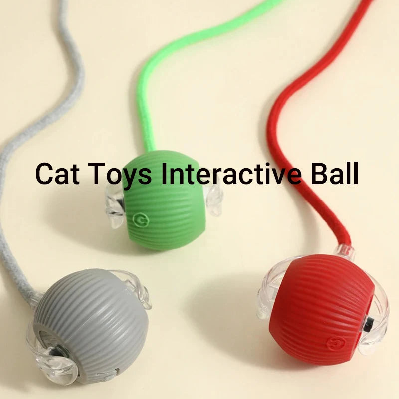 Automatic Rolling Cat Toy Ball - Rechargeable