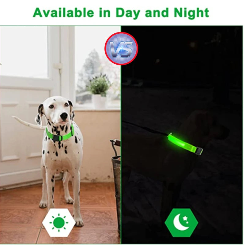 LED Rechargeable Dog Collar
