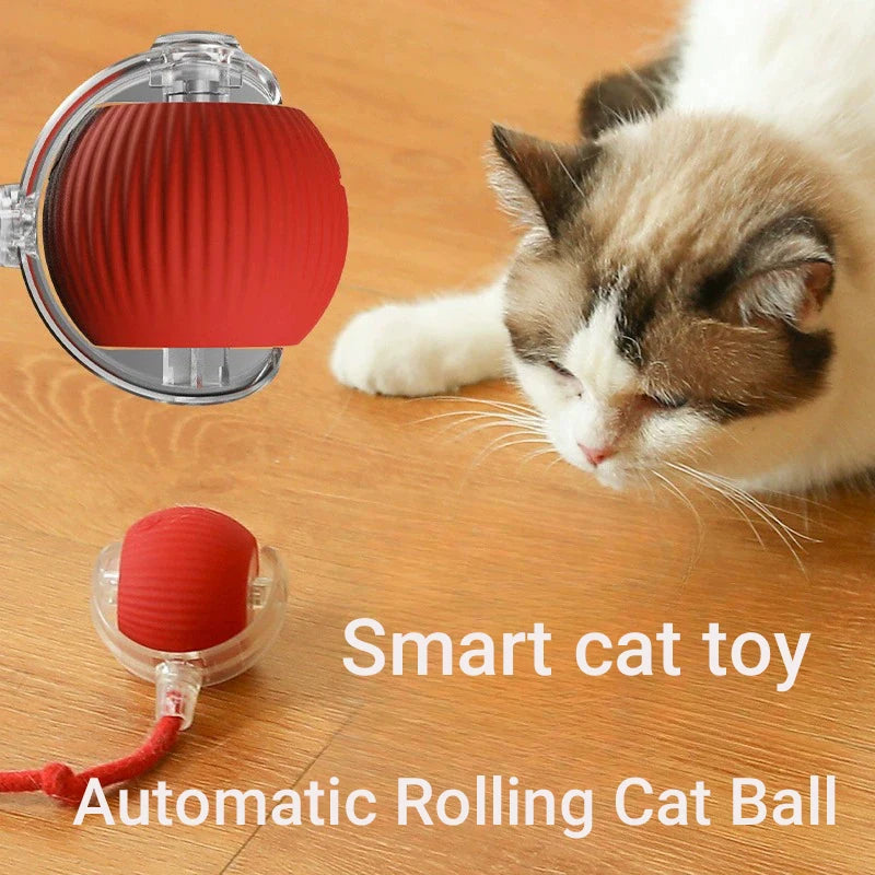 Automatic Rolling Cat Toy Ball - Rechargeable