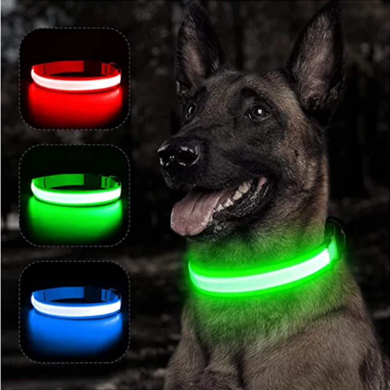 LED Rechargeable Dog Collar
