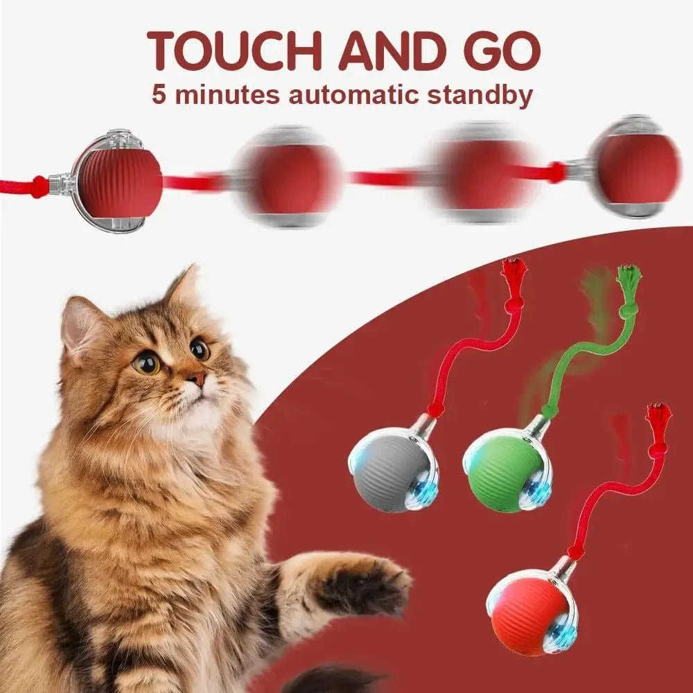 Automatic Rolling Cat Toy Ball - Rechargeable