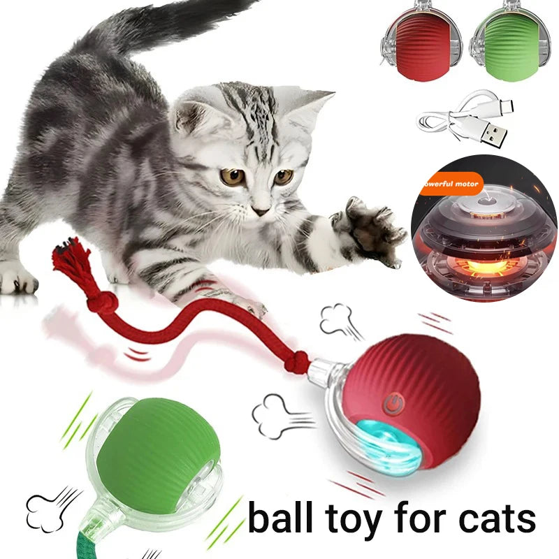 Automatic Rolling Cat Toy Ball - Rechargeable