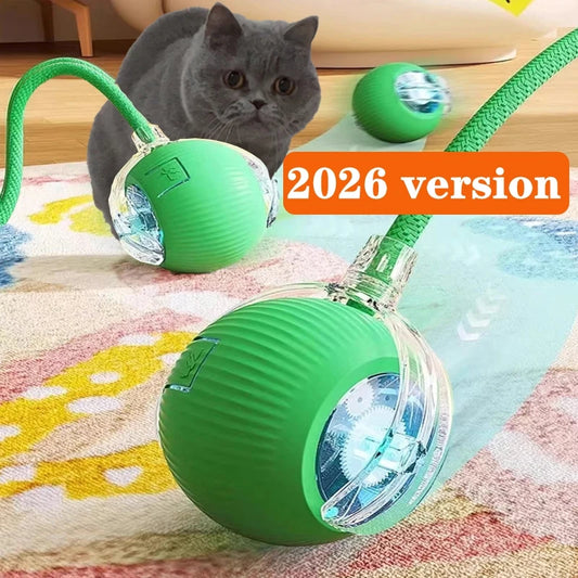 Automatic Rolling Cat Toy Ball - Rechargeable