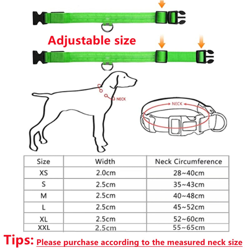 LED Rechargeable Dog Collar